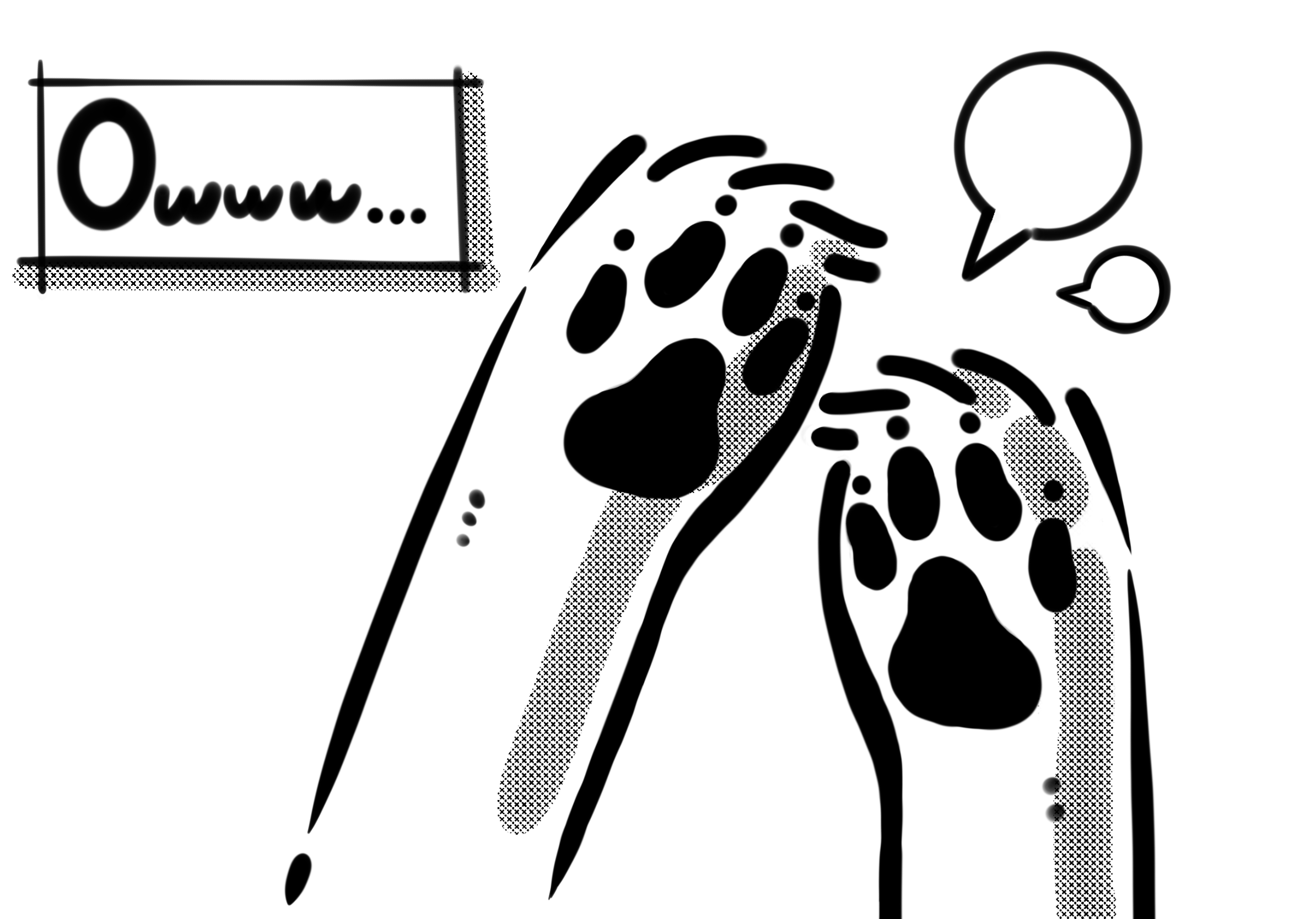 A Guide to Maintaining Clean Paws for Your Pet dirty dog paw, happy dog with pawerlab dog wipe