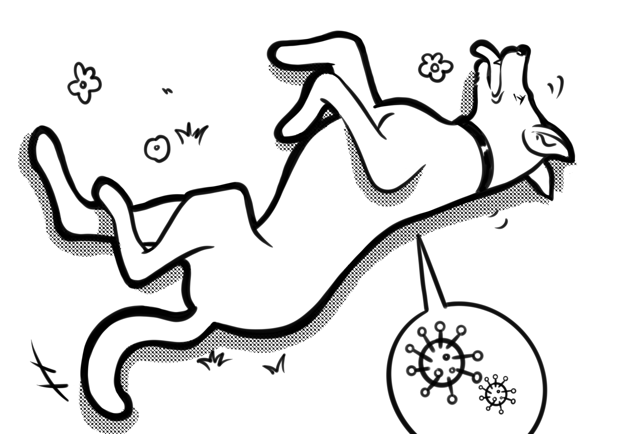 Another Bath? How Often Do Dogs Need to Be Bathed, Anyway? dog is taking a bath happily