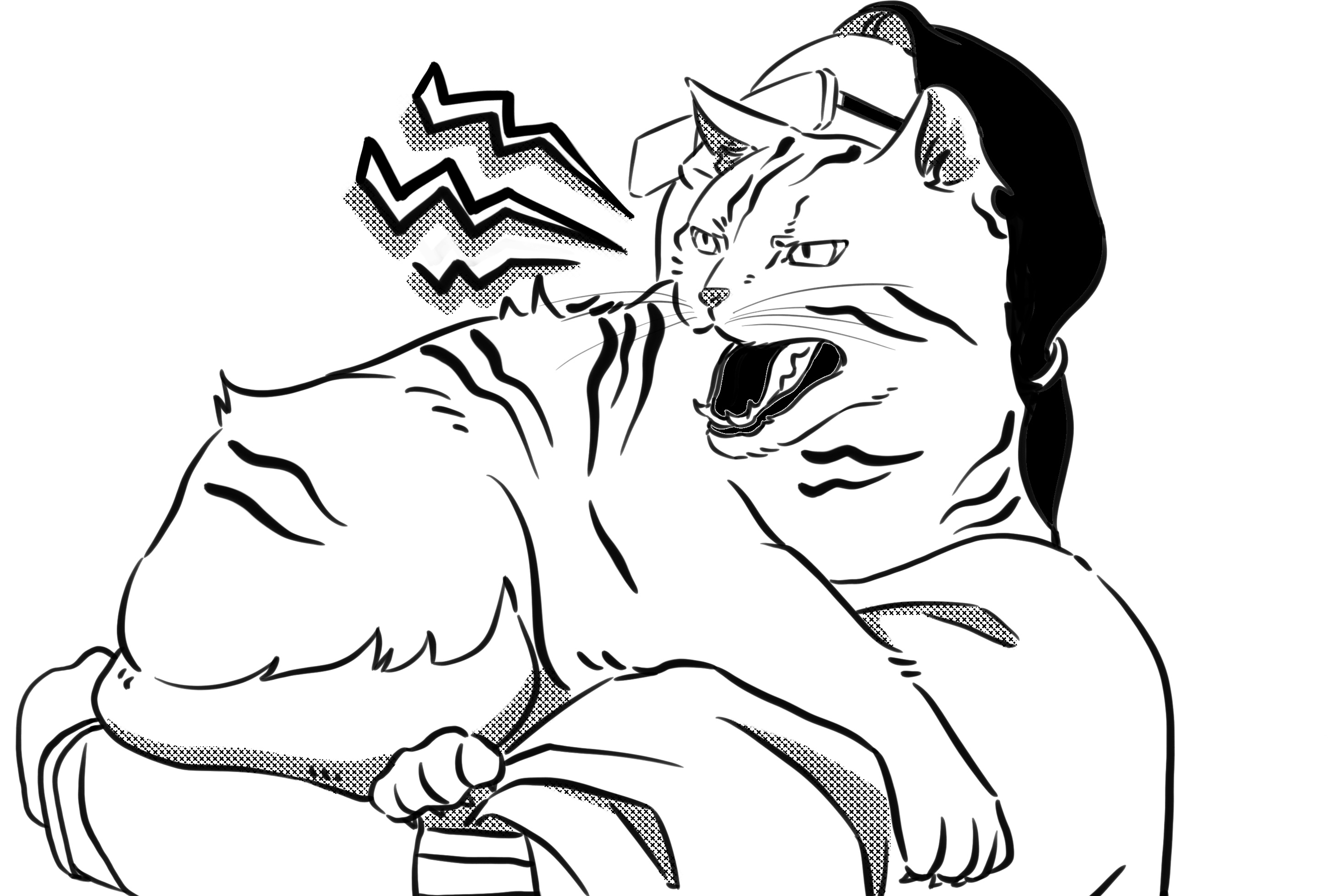 Recognizing and Preventing Stress in Cats a cat is meowing in a person's arm and a cat is playing on a mat