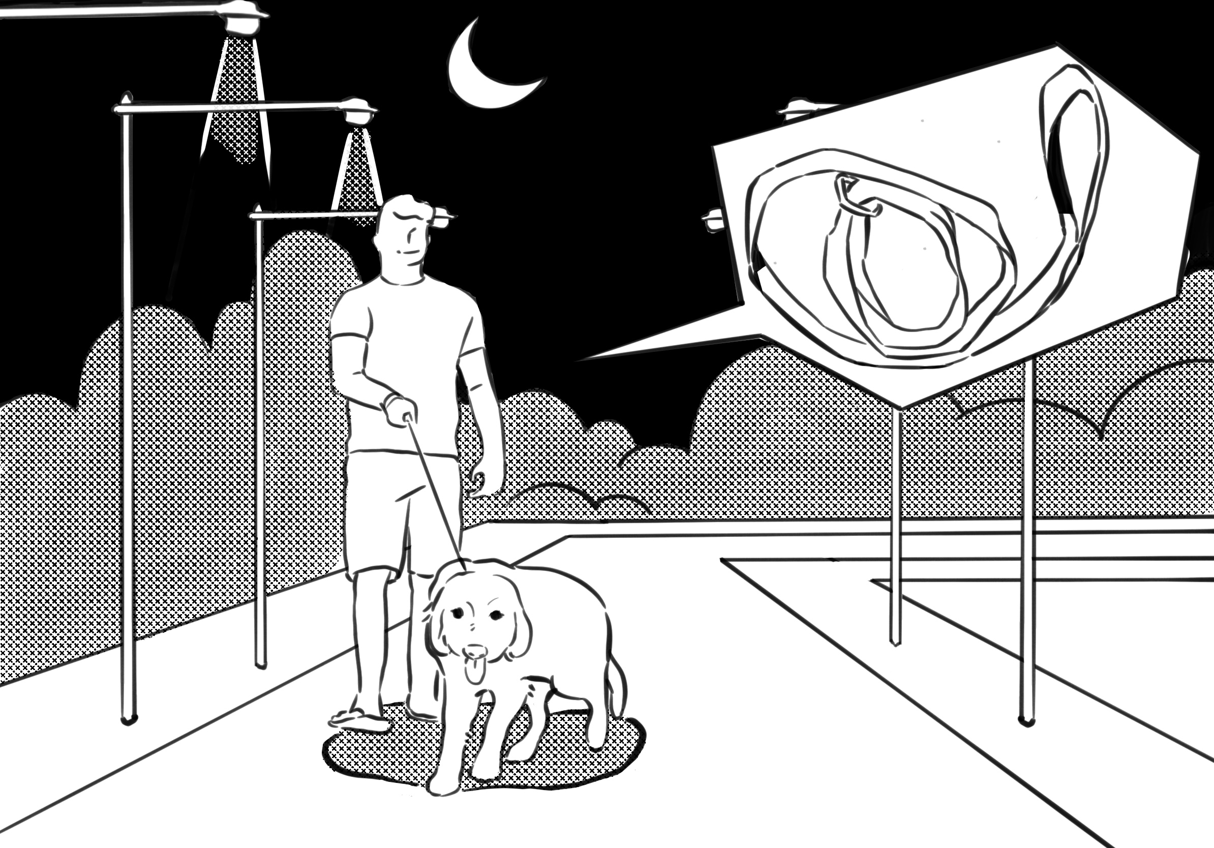 Safety Tips for Walking Dogs at Night walking dog on the street at night