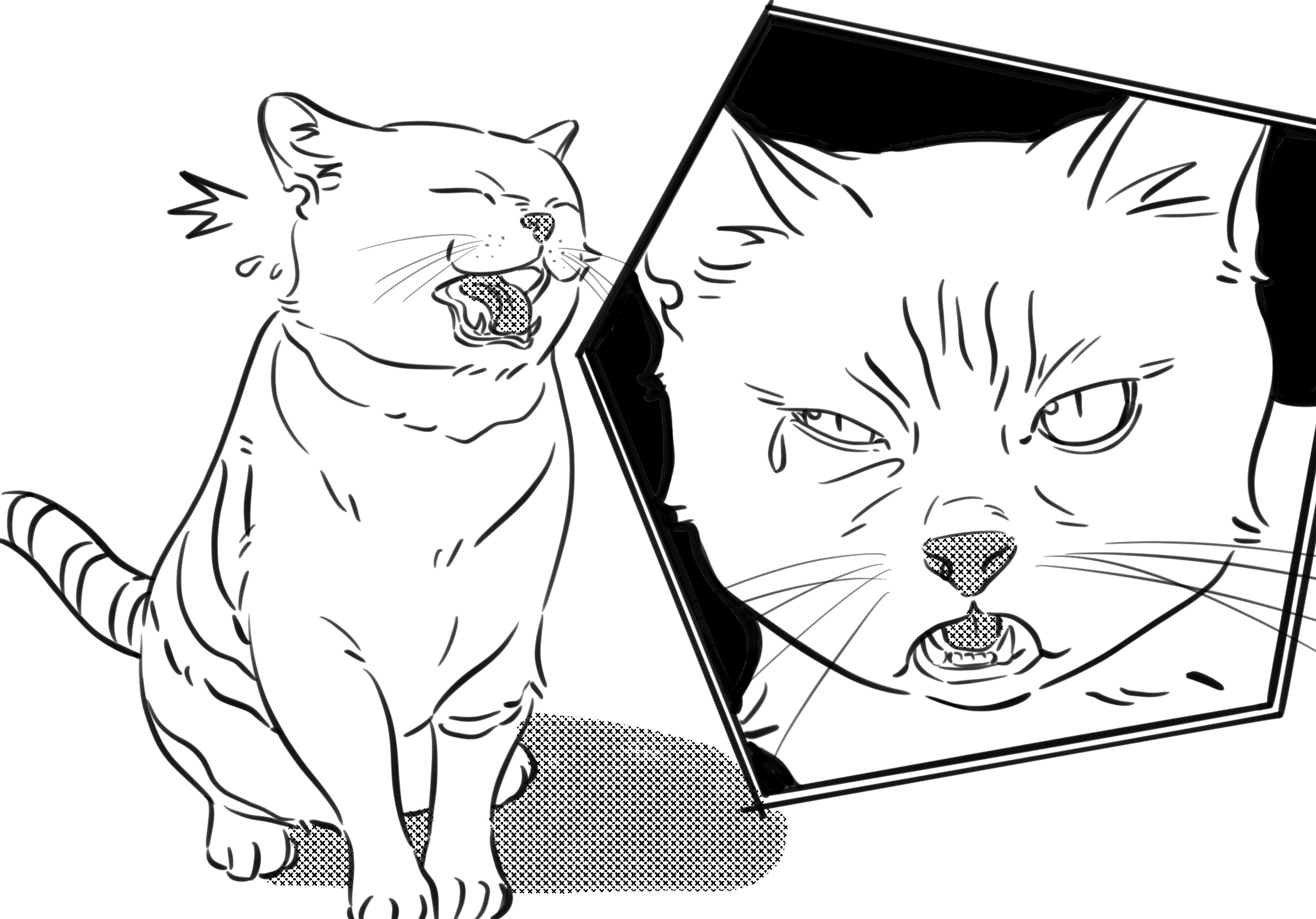 What is Feline Asthma? a cat is coughing and a cat with different situations that will set feline asthma