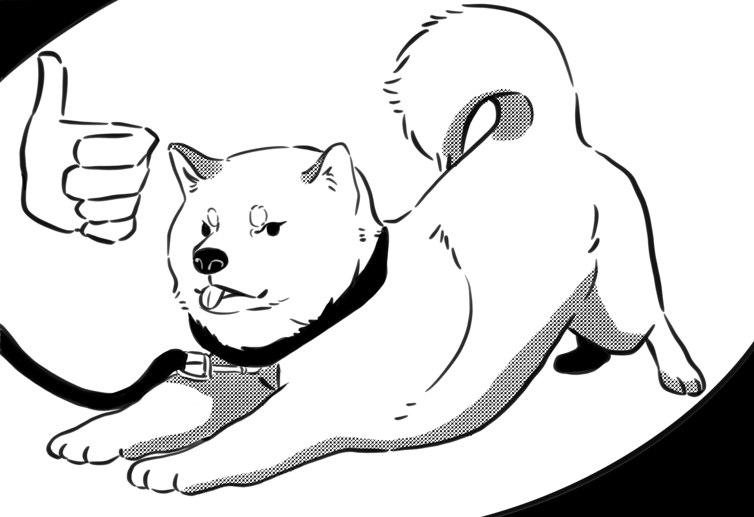 Helping Your Dog with Osteoarthritis Exercise Safely a dog is stretching and swimming for exercise