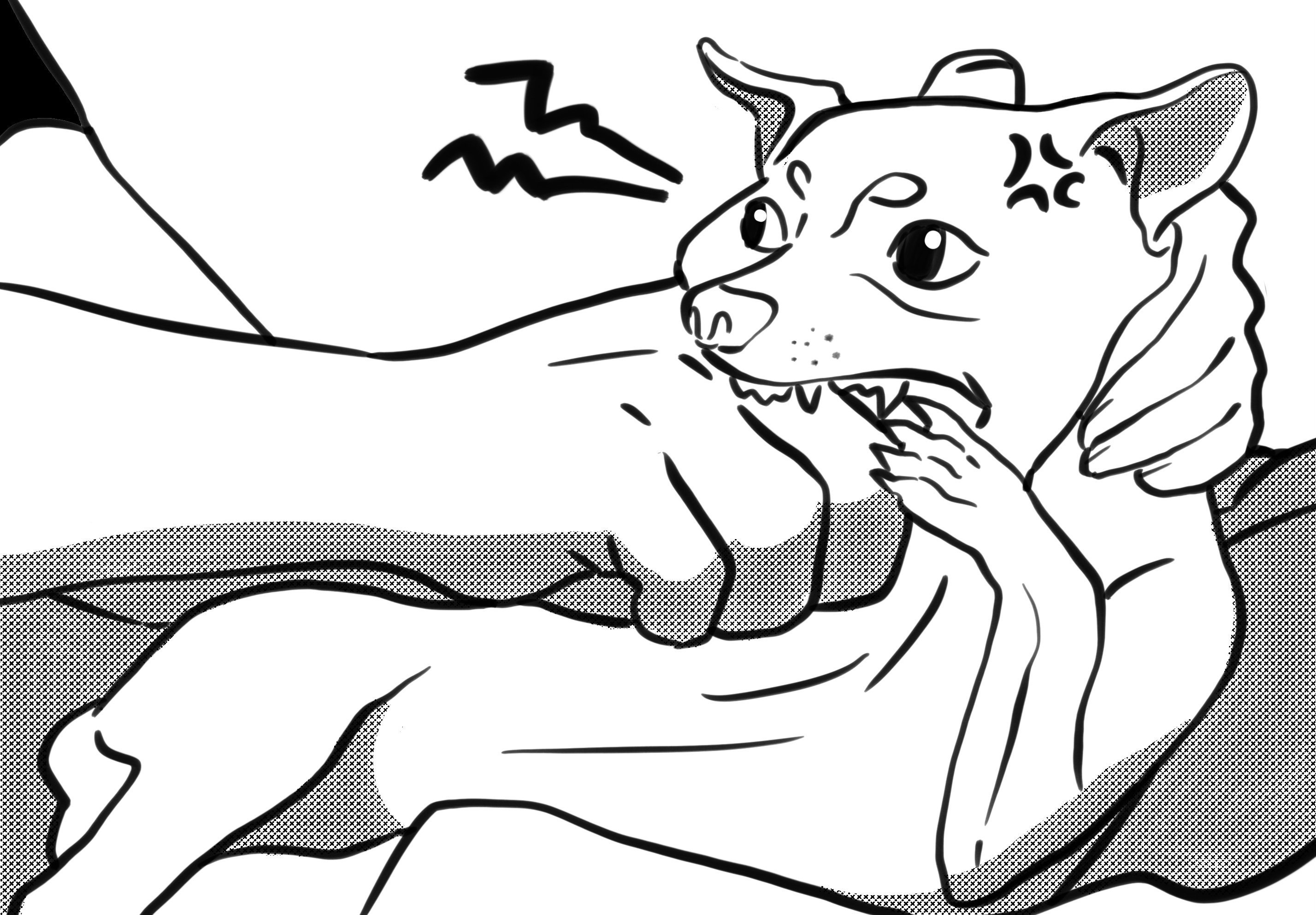 Why do Puppies Chew on Everything? a dog is chewing on human's hand