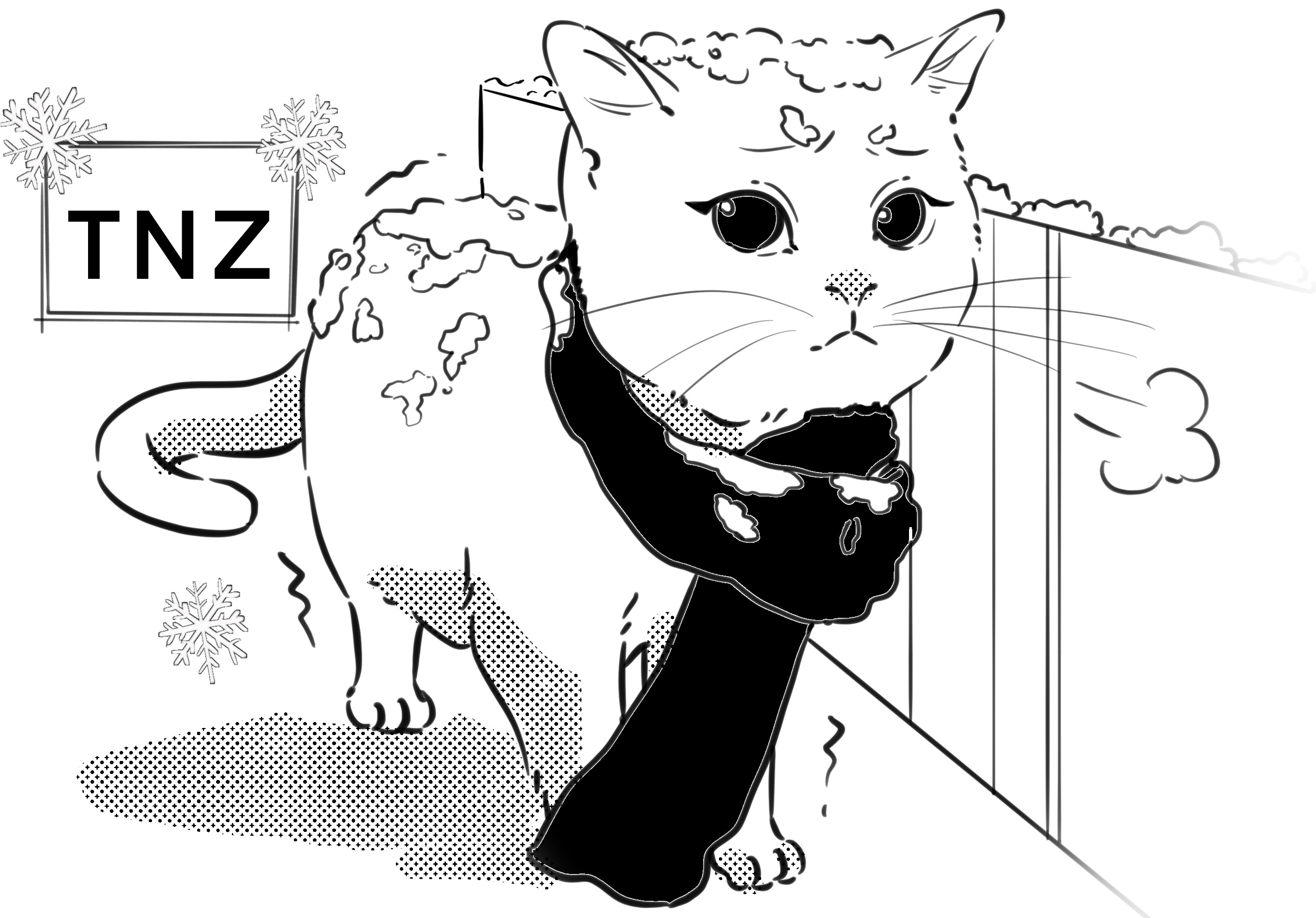 How Cold is Too Cold for a Cat? a cat is feeling cold