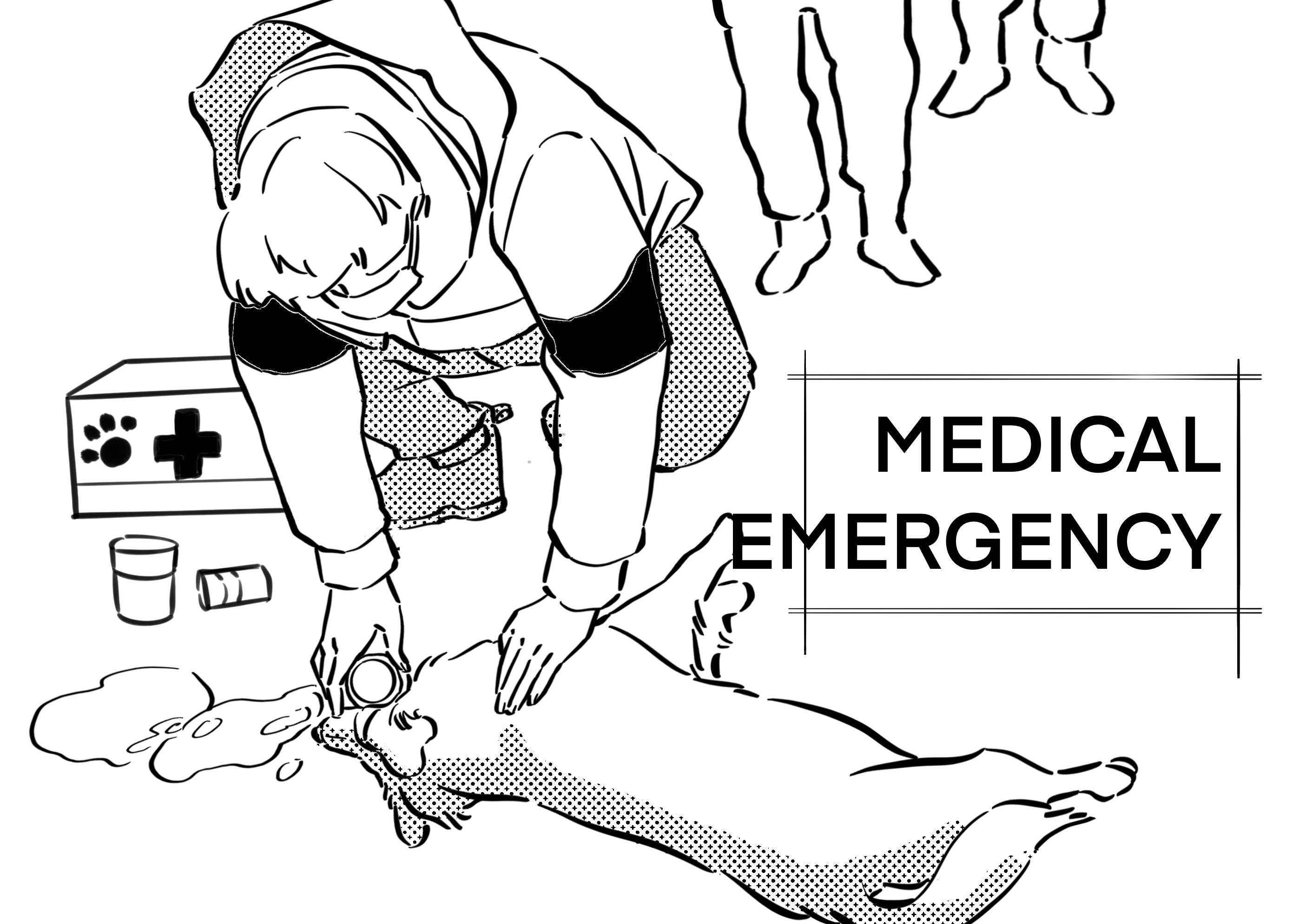 What to do if Your Dog Has a Medical Emergency a dog is having medical emergency