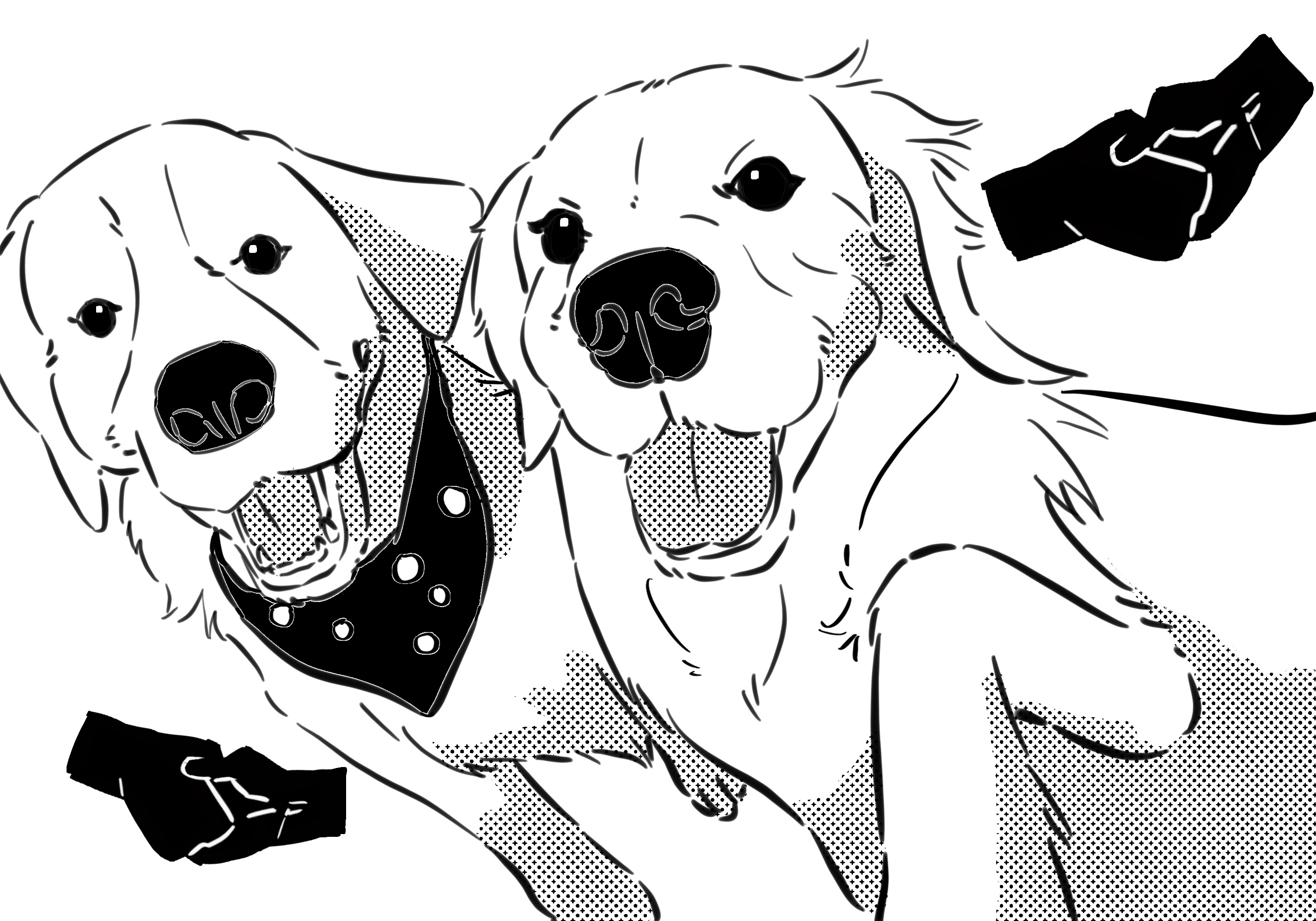 two dogs are socializing 