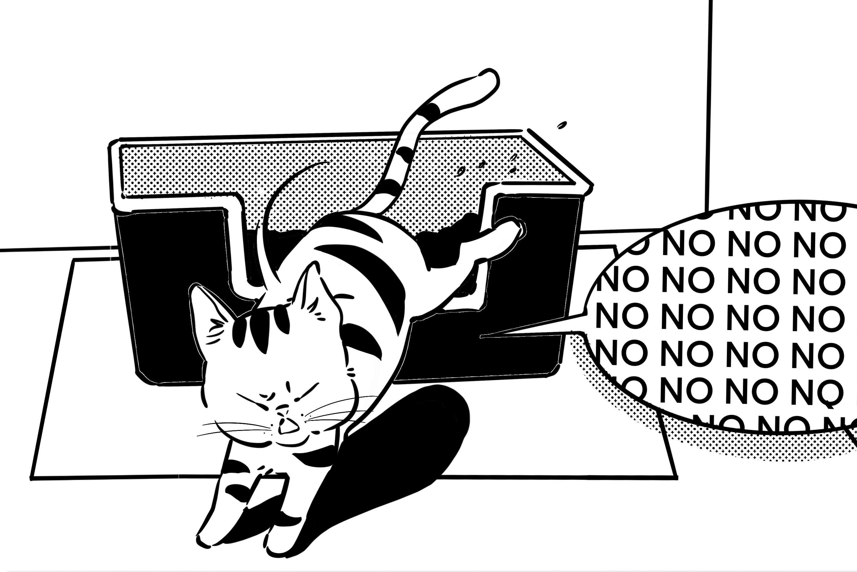 a cat is not using litter box