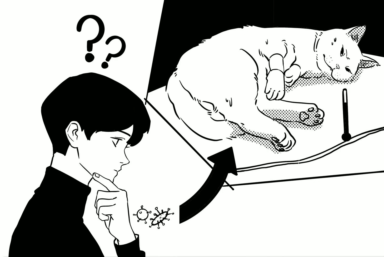 a cat is getting sick