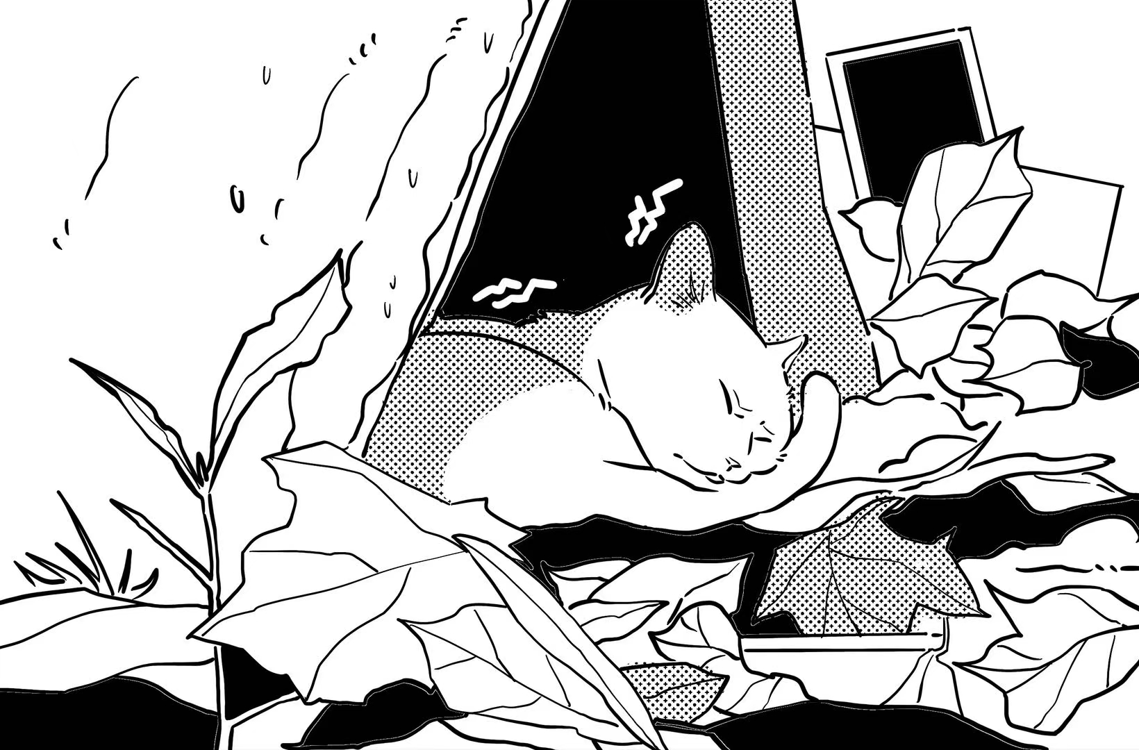 a homeless cat is sleeping outside