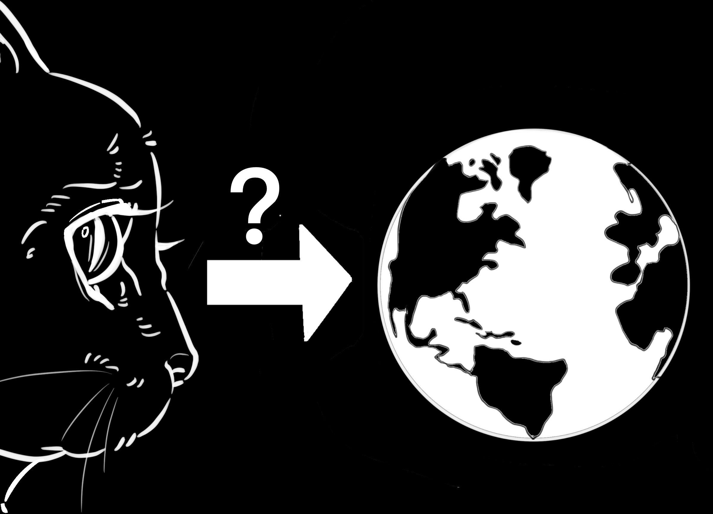 a cat is staring at an object