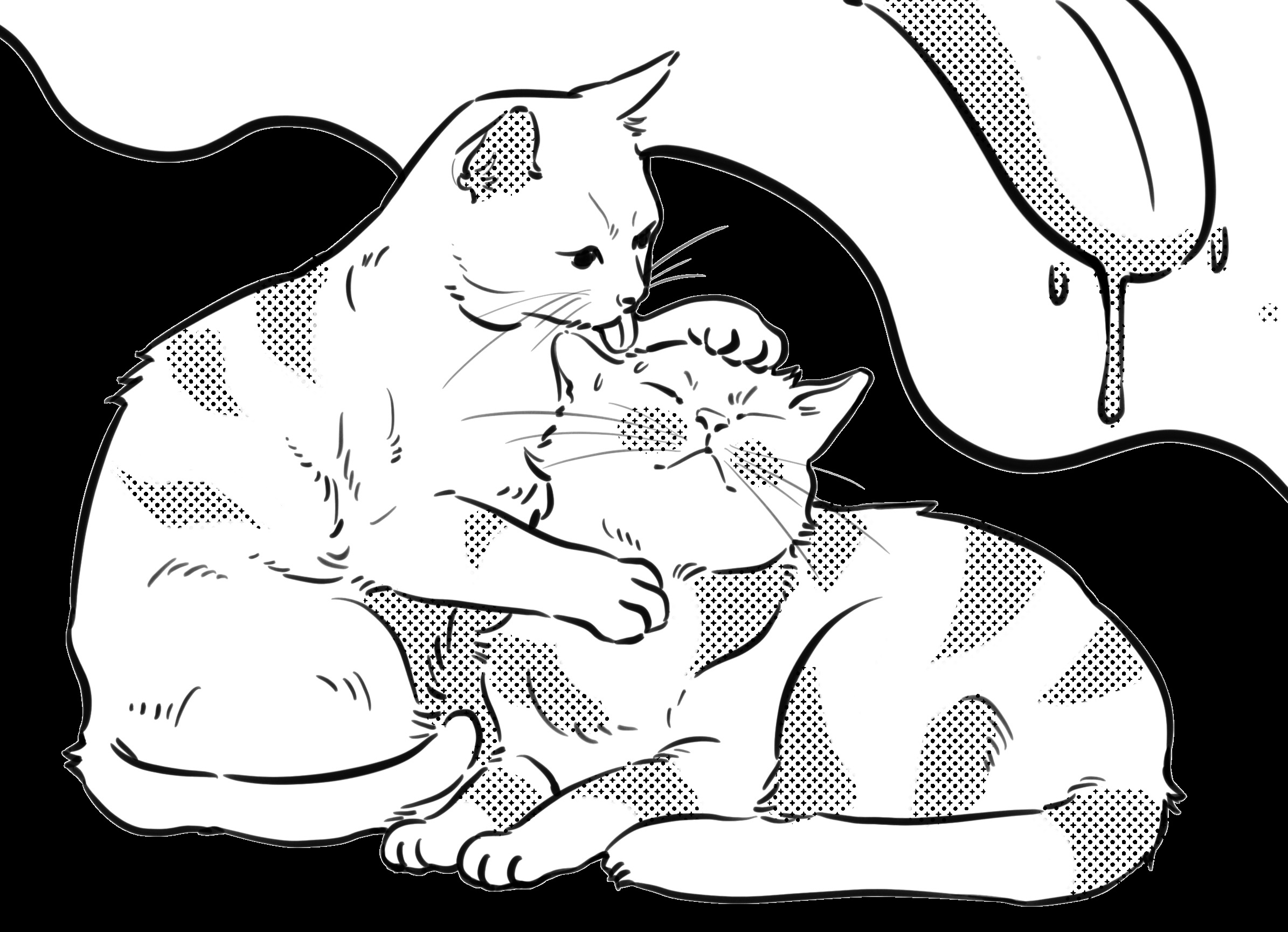 cats groom each other