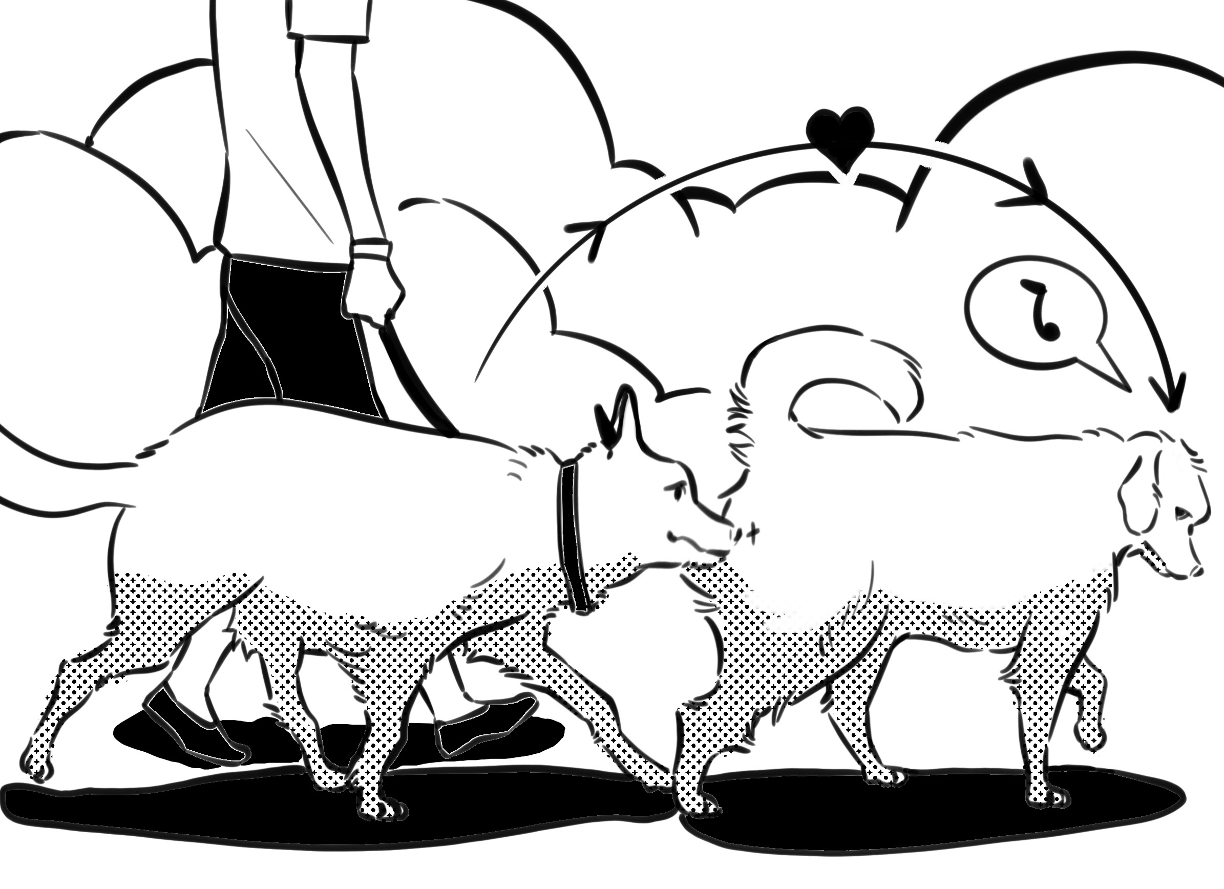 a dog is sniffing another dog's butt