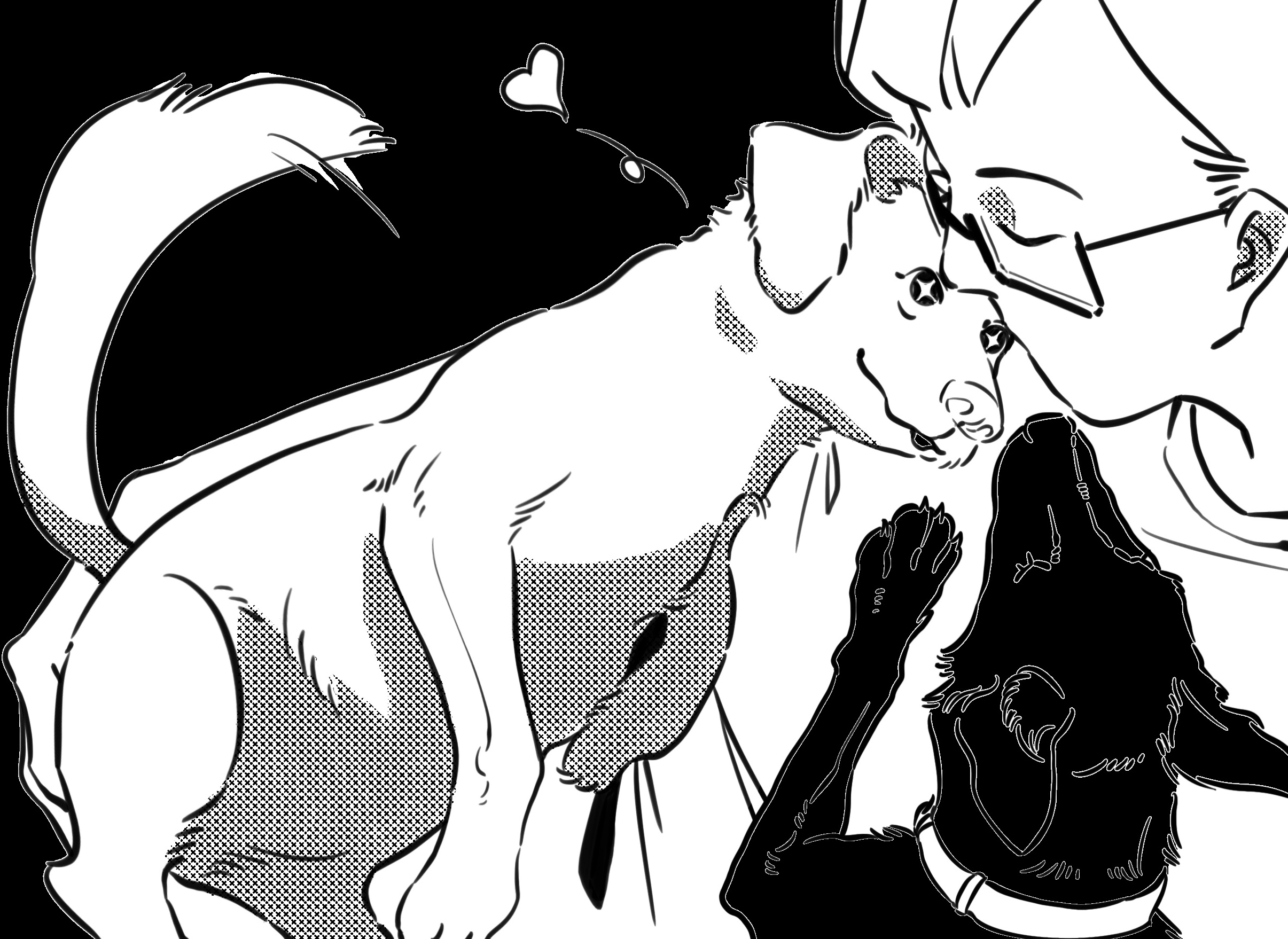 a dog is bonding with his owner