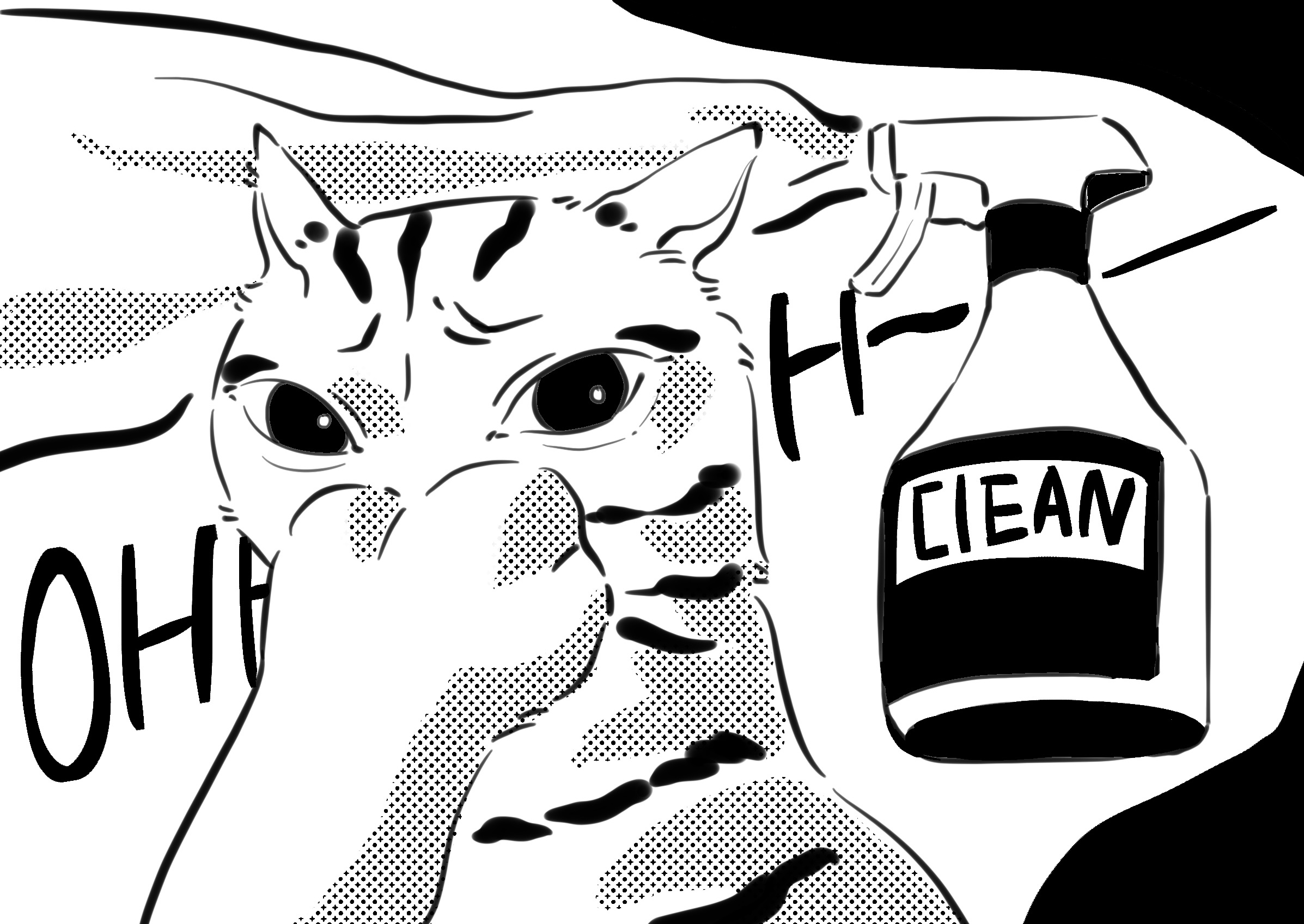 cleaning product and a cat
