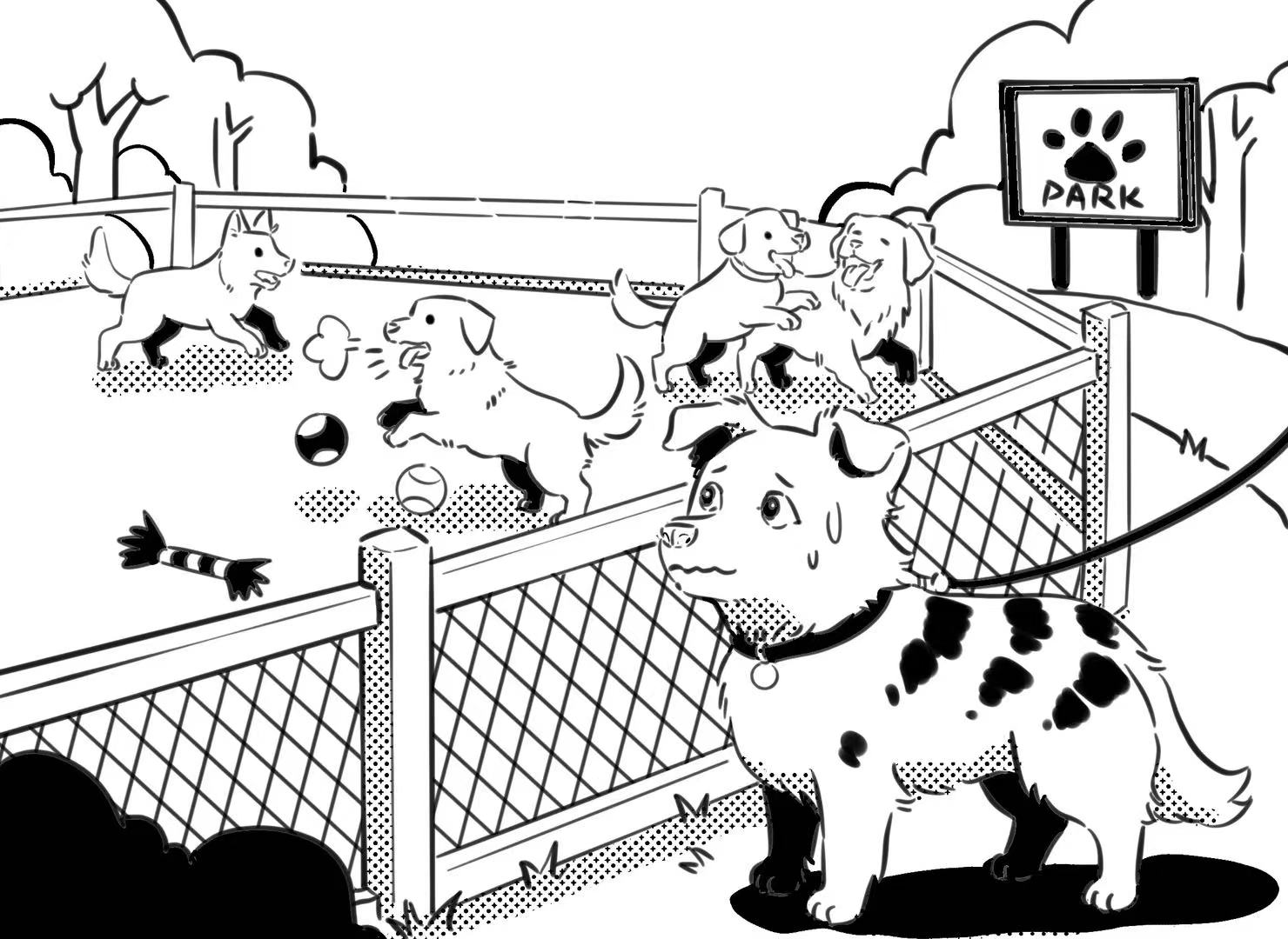 a dog is at the dog park