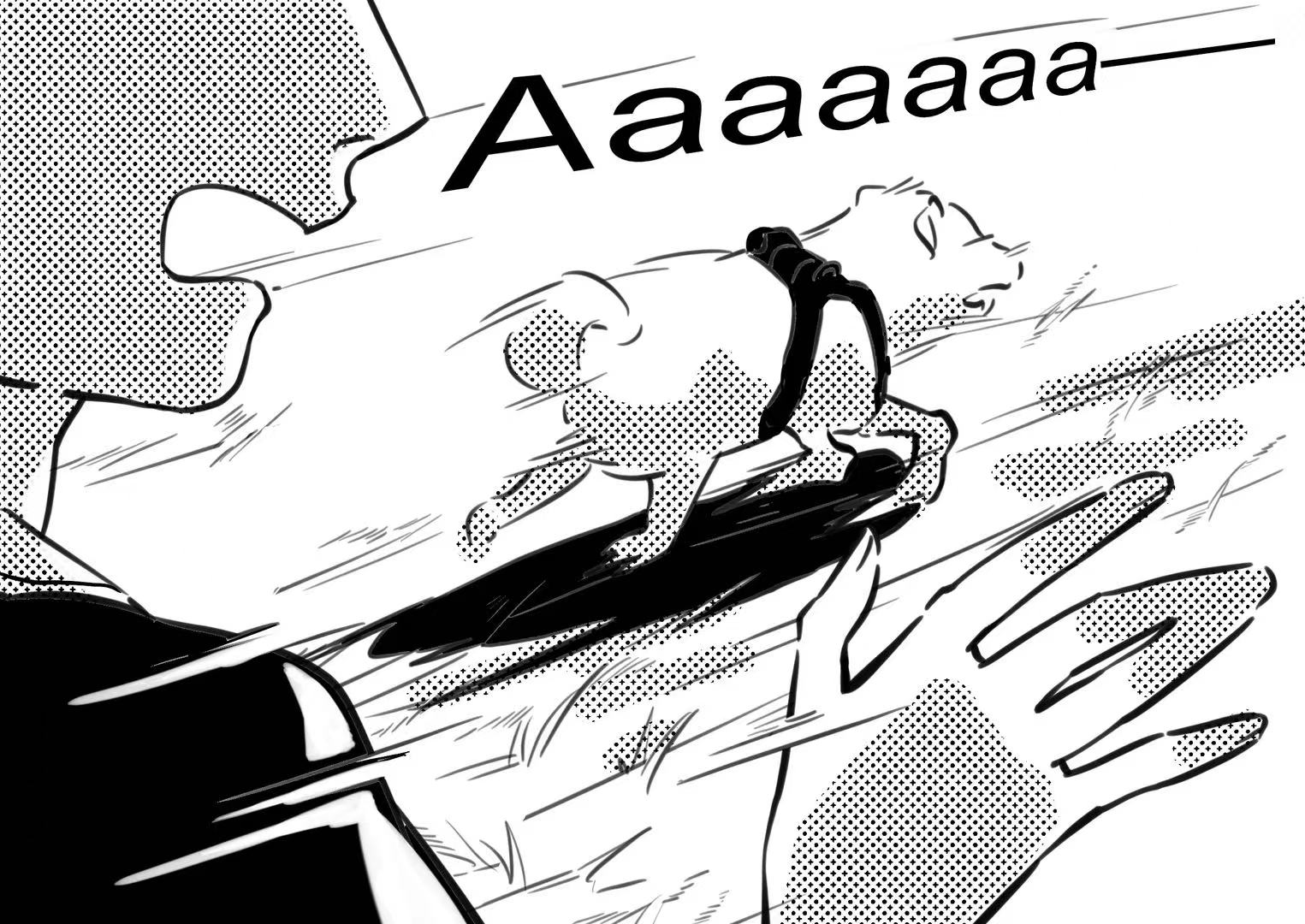 a dog is zooming out